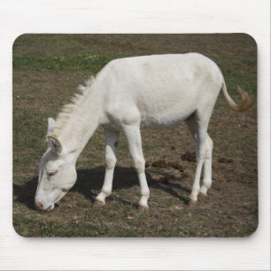 Witte Donkey uit Oostenrijk en Hongarije Muismat