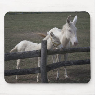 Witte Donkeys in Oostenrijk en Hongarije Muismat