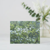 Witte doornhaaienbloemen briefkaart (Staand voorkant)