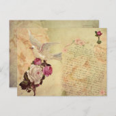 Witte Dove Shabby Chic Briefkaart (Voorkant / Achterkant)