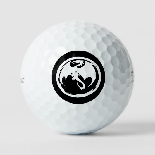 Witte draak Titleist Pro V1 zachte golfballen 12 p (Voorkant)