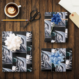 Witte Draak Vrouw Fantasie Auroras Inpakpapier Vel