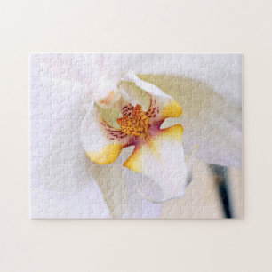 Witte Droom Orchidee Legpuzzel