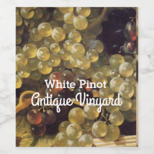 WITTE DRUIVEN Witte Wijn Proeverij Party Etiket