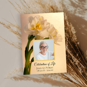 Witte Dubbele Narcissen Lente Viering van het Leve Kaart