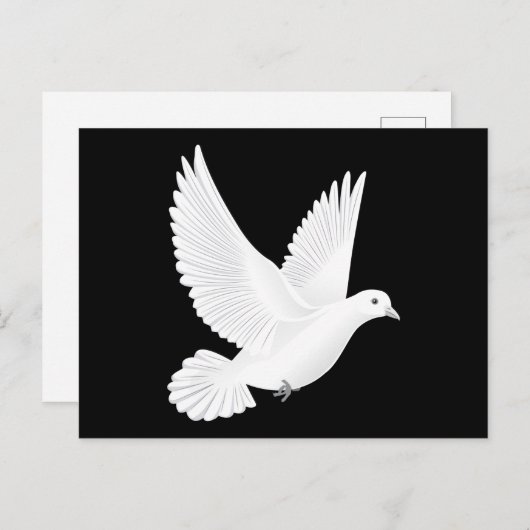 Witte duif briefkaart (Voorkant / Achterkant)