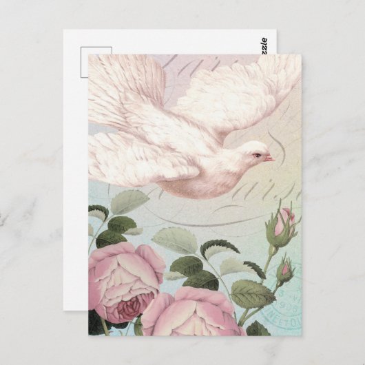 Witte duif en roze rozen briefkaart (Voorkant / Achterkant)