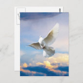 Witte duif in vlucht briefkaart (Voorkant / Achterkant)