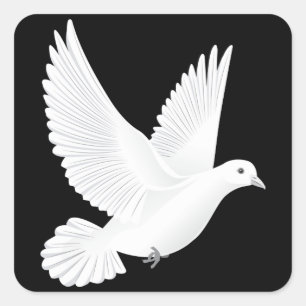 Witte duif vierkante sticker