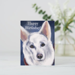 WITTE DUITSE HERDER     BRIEFKAART