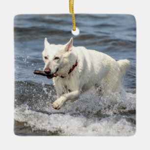 Witte Duitse Herder op Lake George Keramisch Ornament