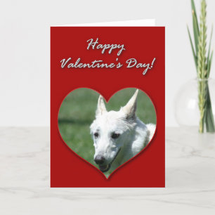 Witte Duitse Herder Valentijnsdag Kaart