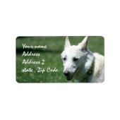 Witte Duitse herder Verzendlabels Etiket (Voorkant)