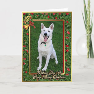 Witte Duitse herdershond Blank Christmas Kaart