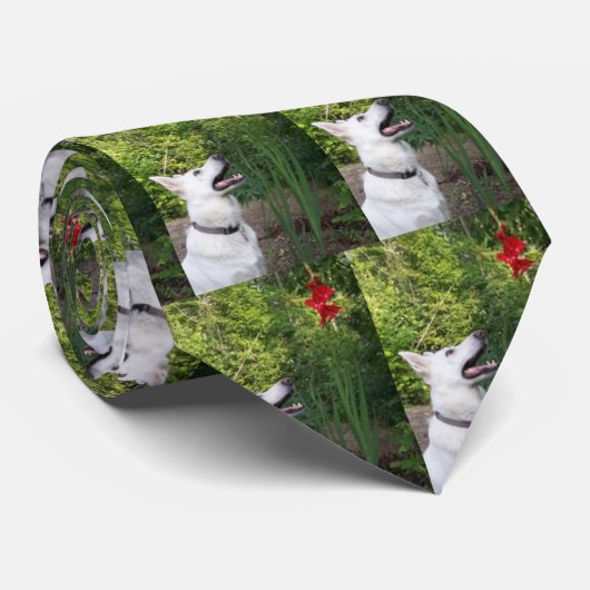 Witte Duitse Stropdas Shepherd (Opgerold)