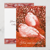 WITTE DUIVEN IN ROOD KAART (Voorkant / Achterkant)