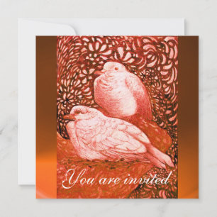 WITTE DUIVEN IN ROOD ORANJE KAART