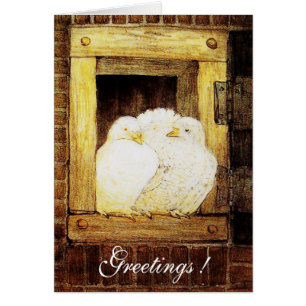 WITTE DUIVEN VOOR HET RAAM, bruin geel