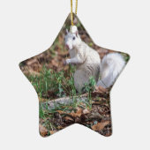 Witte eekhoorn Brevard Keramisch Ornament (Links)