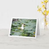 Witte eend in Lily Pond Kaart (Gele Bloem)