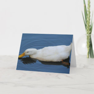 Witte Eend Kaart
