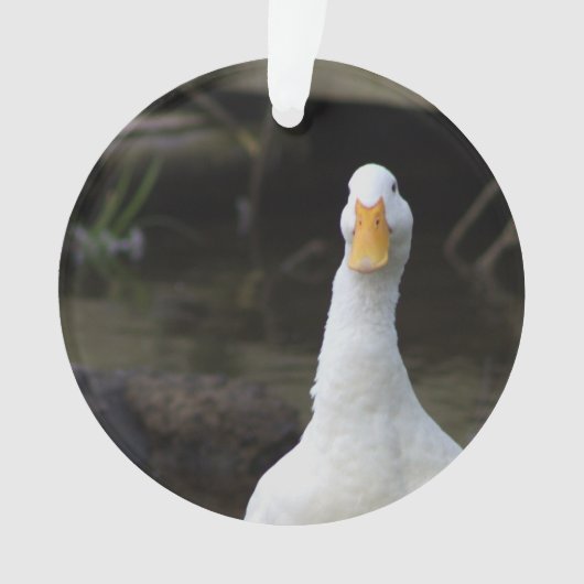 Witte Eend Versiering Ornament (voorkant)