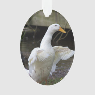 Witte Eend Versiering  Ornament