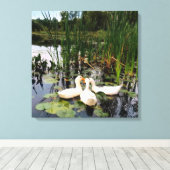 Witte eenden, lendenkussens, cattails, meeroever canvas afdruk (Insitu (Houten vloer))