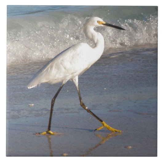 Witte Egret Tegel Tegeltje (Voorkant)