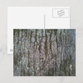 Witte eiken boomschors briefkaart (Voorkant / Achterkant)