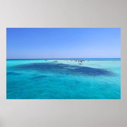 Witte eiland in het Rode Zee Poster (Voorkant)