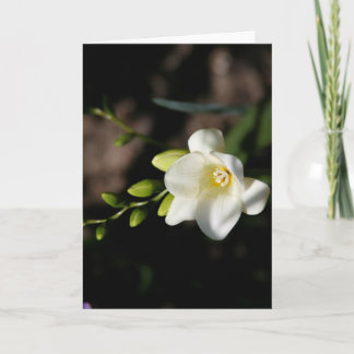 Witte Elegante Bloemen Wenskaart Aankondiging