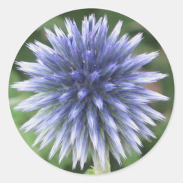 Witte en blauwe Wereldbollen distel Sticker