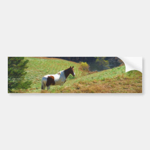 Witte en bruine paarden, Autumn vijver Bumpersticker
