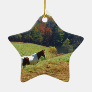 Witte en bruine paarden, Autumn vijver Keramisch Ornament