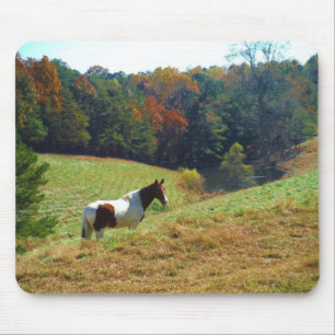 Witte en bruine paarden, Autumn vijver Muismat