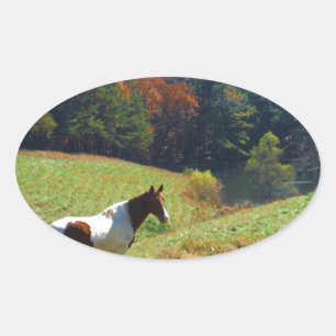 Witte en bruine paarden, Autumn vijver Ovale Sticker
