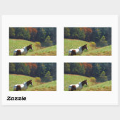 Witte en bruine paarden, Autumn vijver Rechthoekige Sticker (Vel)