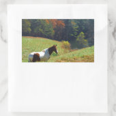 Witte en bruine paarden, Autumn vijver Rechthoekige Sticker (Tas)