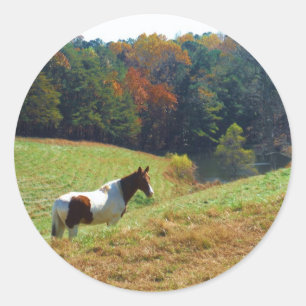 Witte en bruine paarden, Autumn vijver Ronde Sticker