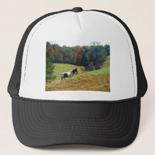 Witte en bruine paarden, Autumn vijver Trucker Pet