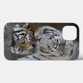Witte en bruine tijgers die rusten Case-Mate iPhone case (Achterkant (horizontaal))