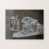 Witte en bruine tijgers die rusten legpuzzel (Horizontaal)