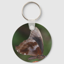 Witte en bruine vlinder op rode ventilator