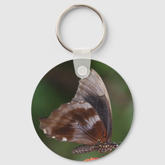 Witte en bruine vlinder op rode ventilator sleutelhanger (Voorkant)