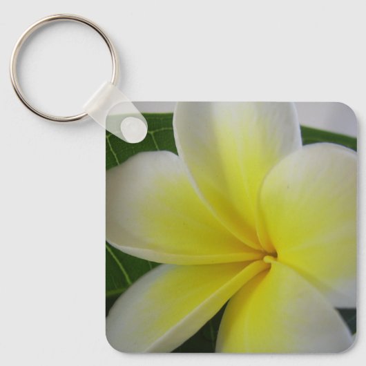 Witte en gele frangipane sleutelhanger (Voorkant)