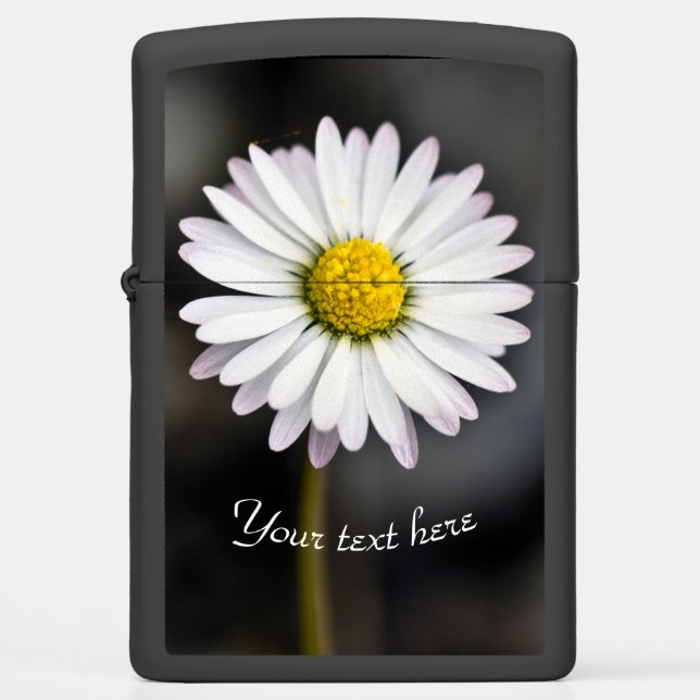 Witte en gele Wilde Daisy (Voorkant)