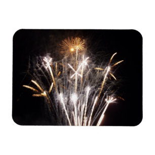 Witte en Gouden Vuurwerk II Patriottische Viering Magneet