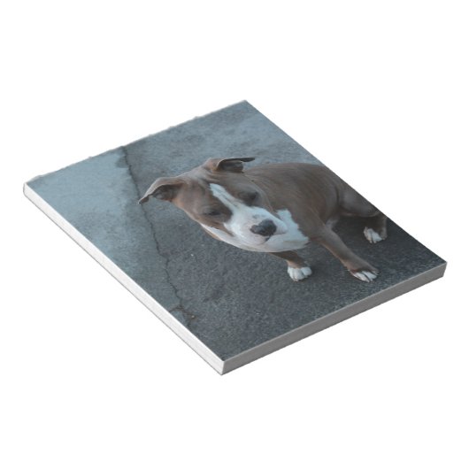 Witte en grijze Pitbull op beton Notitieblok (Schuin)