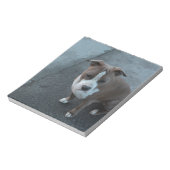 Witte en grijze Pitbull op beton Notitieblok (Gedraaid)